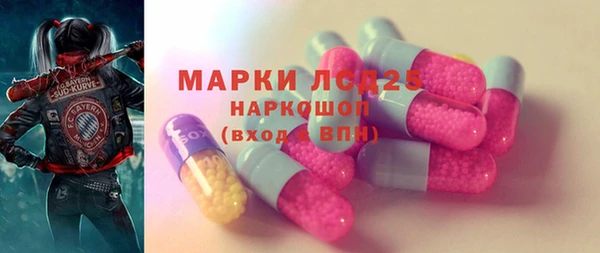 PSILOCYBIN Алзамай