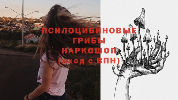 метамфетамин Алексеевка