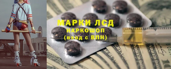 PSILOCYBIN Алзамай