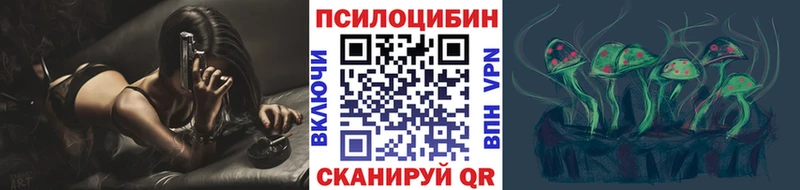 дарк нет состав  где можно купить наркотик  Бодайбо  Псилоцибиновые грибы Psilocybe 